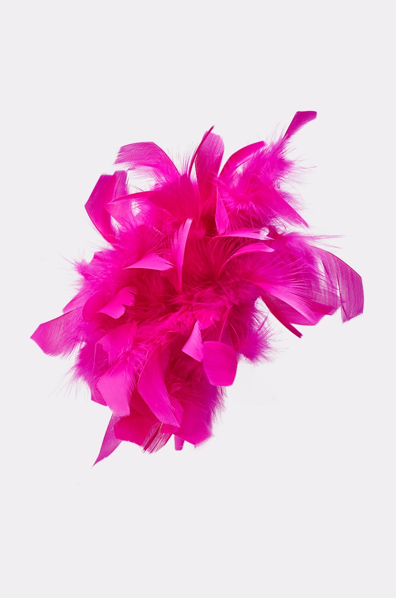 AT BRUNCH FEATHER BROOCH
