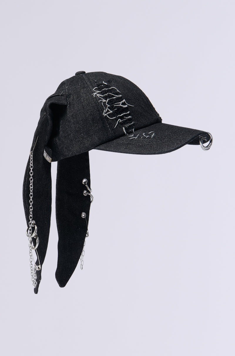 AERIAL VIEWS HAT