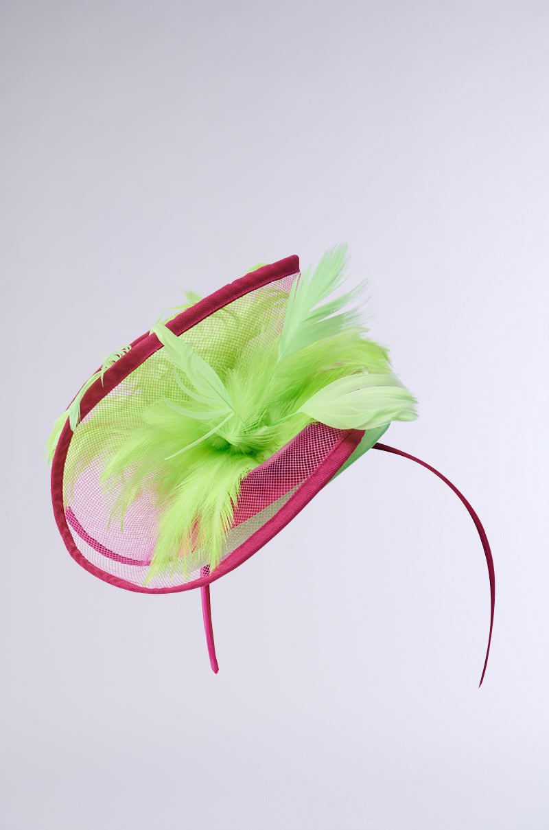 TO THE DERB FASCINATOR