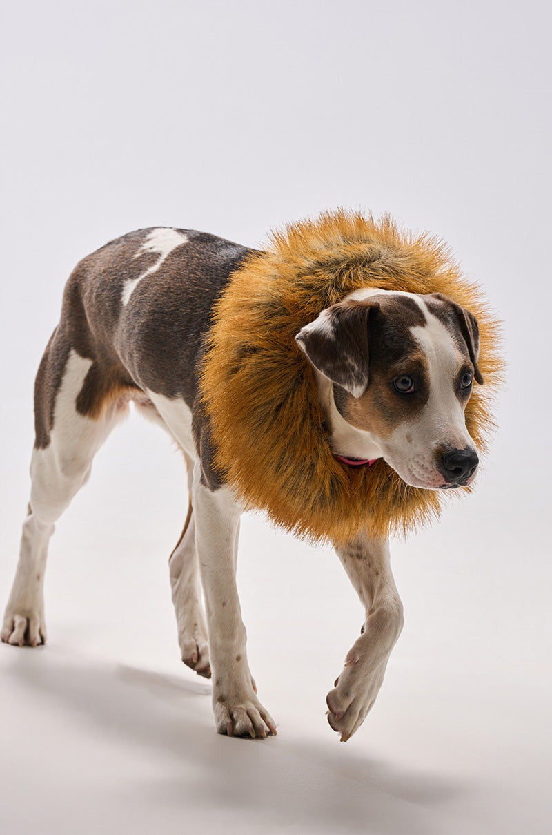 REALLY LIKE THAT FAUX FUR HEADBAND